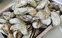 天边一朵云迅雷下载